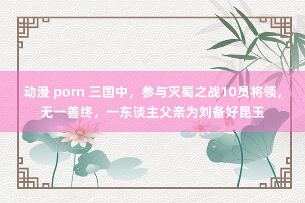 动漫 porn 三国中，参与灭蜀之战10员将领，无一善终，一东谈主父亲为刘备好昆玉