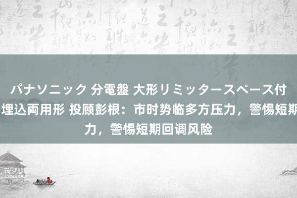 パナソニック 分電盤 大形リミッタースペース付 露出・半埋込両用形 投顾彭根：市时势临多方压力，警惕短期回调风险