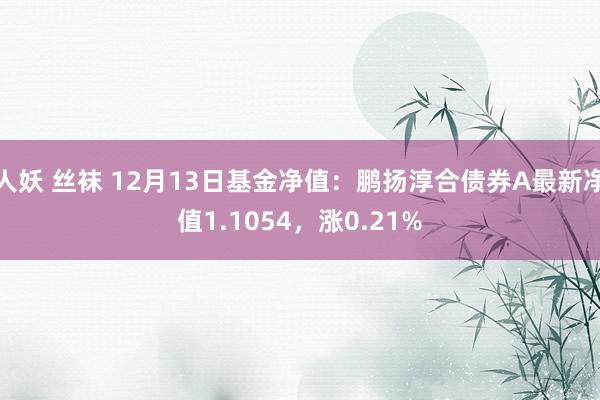 人妖 丝袜 12月13日基金净值：鹏扬淳合债券A最新净值1.1054，涨0.21%