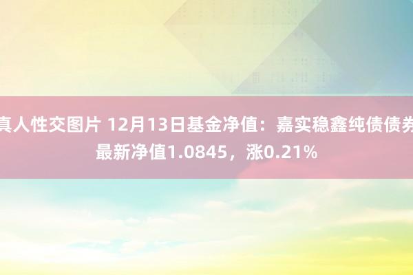 真人性交图片 12月13日基金净值：嘉实稳鑫纯债债券最新净值1.0845，涨0.21%