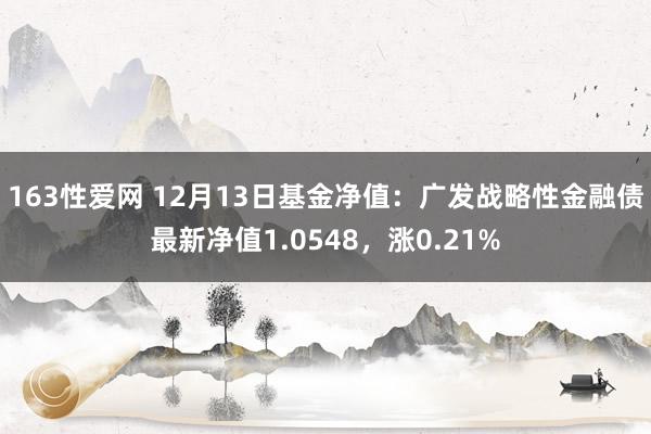 163性爱网 12月13日基金净值：广发战略性金融债最新净值1.0548，涨0.21%