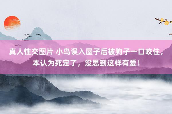 真人性交图片 小鸟误入屋子后被狗子一口咬住，本认为死定了，没思到这样有爱！