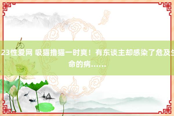 123性爱网 吸猫撸猫一时爽！有东谈主却感染了危及生命的病......