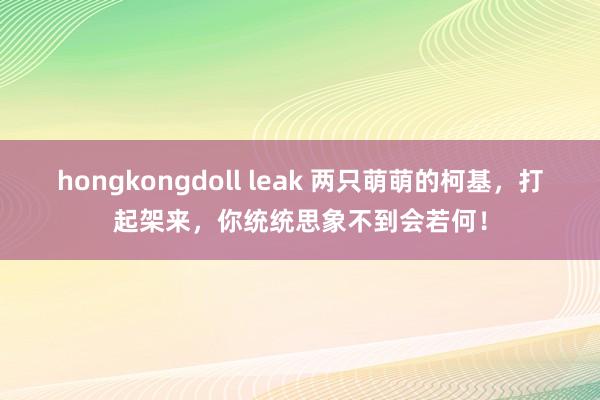 hongkongdoll leak 两只萌萌的柯基，打起架来，你统统思象不到会若何！