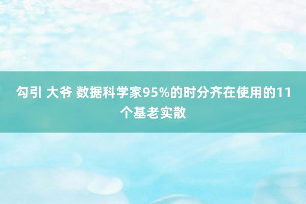 勾引 大爷 数据科学家95%的时分齐在使用的11个基老实散