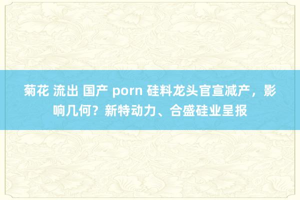 菊花 流出 国产 porn 硅料龙头官宣减产，影响几何？新特动力、合盛硅业呈报