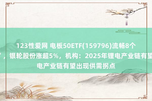 123性爱网 电板50ETF(159796)流畅8个往翌日“吸金”，银轮股份涨超5%，机构：2025年锂电产业链有望出现供需拐点