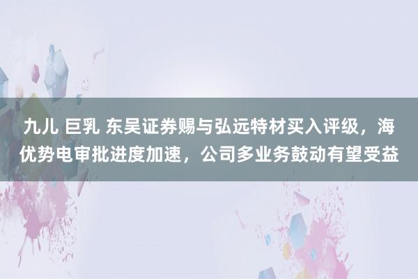 九儿 巨乳 东吴证券赐与弘远特材买入评级，海优势电审批进度加速，公司多业务鼓动有望受益