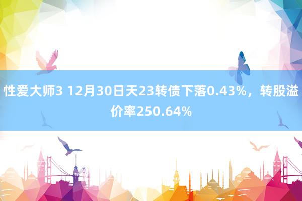 性爱大师3 12月30日天23转债下落0.43%，转股溢价率250.64%