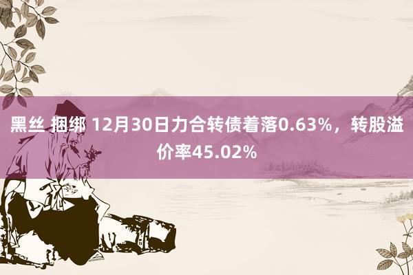 黑丝 捆绑 12月30日力合转债着落0.63%，转股溢价率45.02%