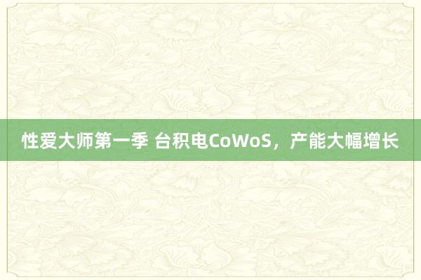 性爱大师第一季 台积电CoWoS，产能大幅增长