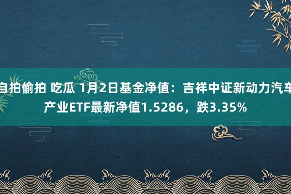 自拍偷拍 吃瓜 1月2日基金净值：吉祥中证新动力汽车产业ETF最新净值1.5286，跌3.35%