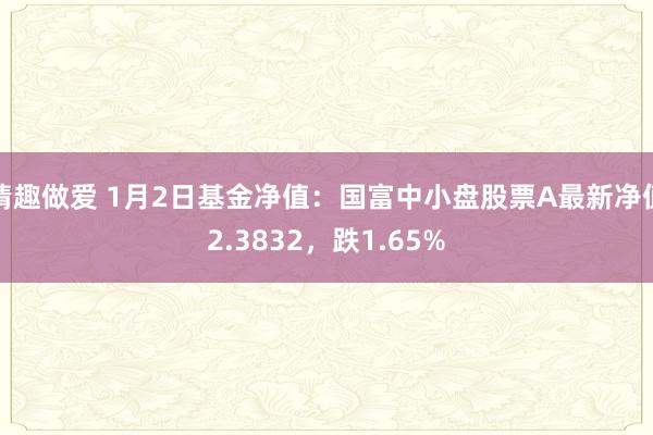 情趣做爱 1月2日基金净值：国富中小盘股票A最新净值2.3832，跌1.65%