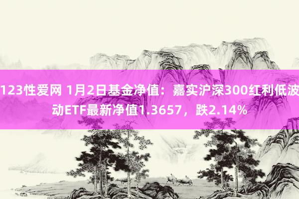 123性爱网 1月2日基金净值：嘉实沪深300红利低波动ETF最新净值1.3657，跌2.14%