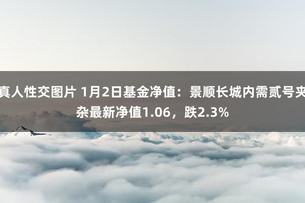 真人性交图片 1月2日基金净值：景顺长城内需贰号夹杂最新净值1.06，跌2.3%