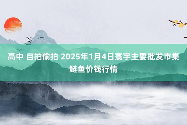 高中 自拍偷拍 2025年1月4日寰宇主要批发市集鲢鱼价钱行情