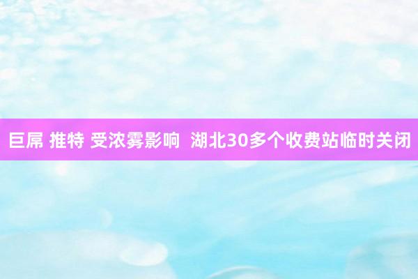 巨屌 推特 受浓雾影响  湖北30多个收费站临时关闭