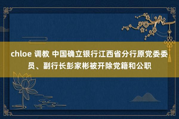 chloe 调教 中国确立银行江西省分行原党委委员、副行长彭家彬被开除党籍和公职