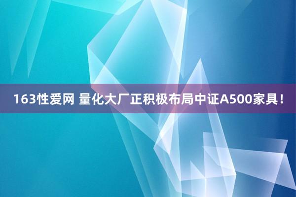 163性爱网 量化大厂正积极布局中证A500家具！