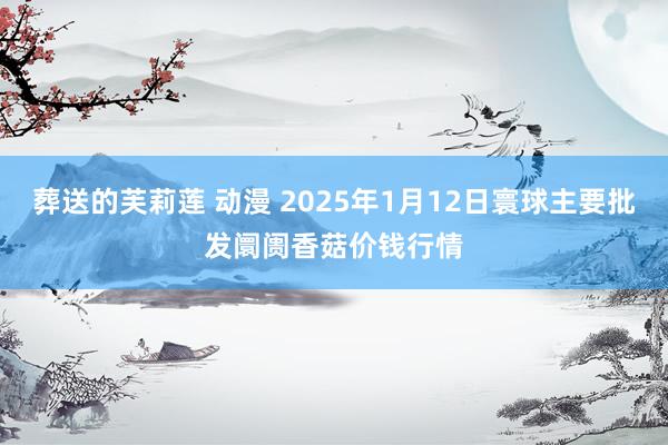 葬送的芙莉莲 动漫 2025年1月12日寰球主要批发阛阓香菇价钱行情